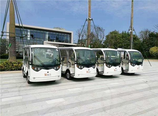 17座電動觀光車-茶園